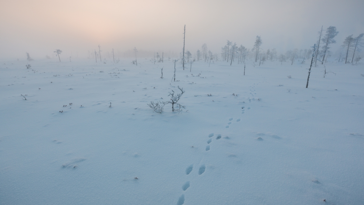 芬兰雪景4k壁纸