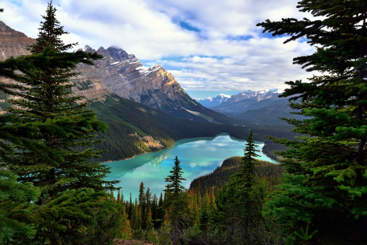 加拿大,湖,班夫国家公园,森林,天空,云,6K风景壁纸