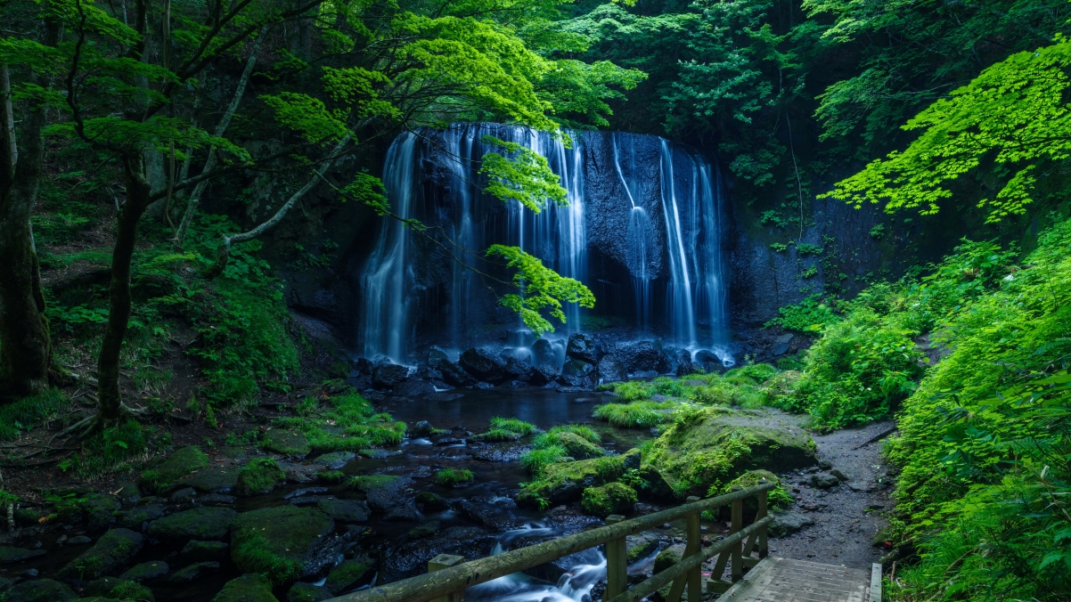 绿色 森林 树木 岩石 溪流 石头 瀑布 青苔 人行桥 大自然 4K风景壁纸3840x2160