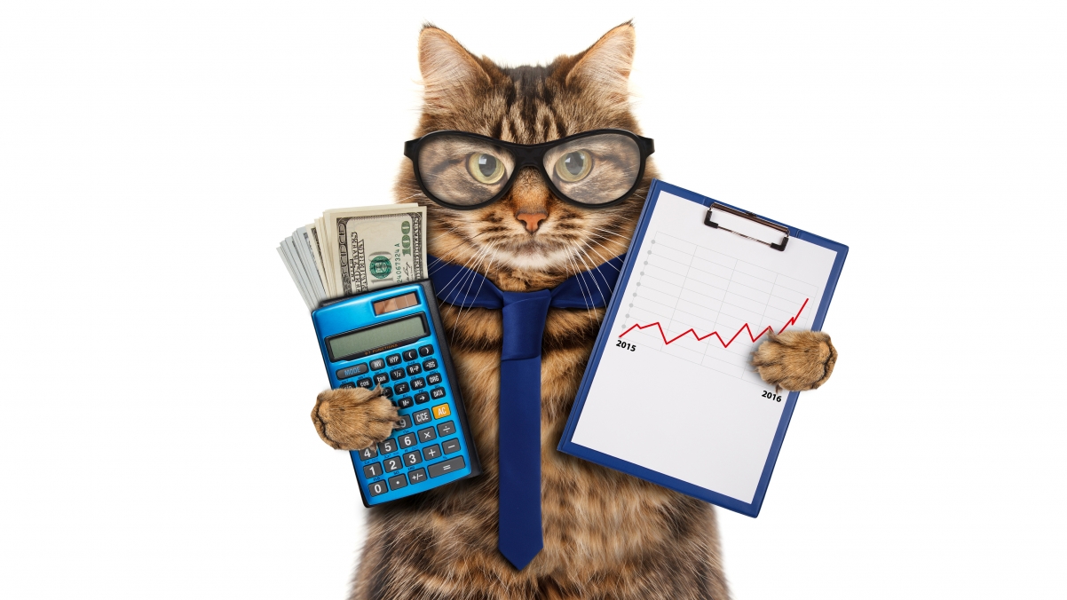 猫 领带 眼镜 金钱 美元 计算器 猫会计4K壁纸