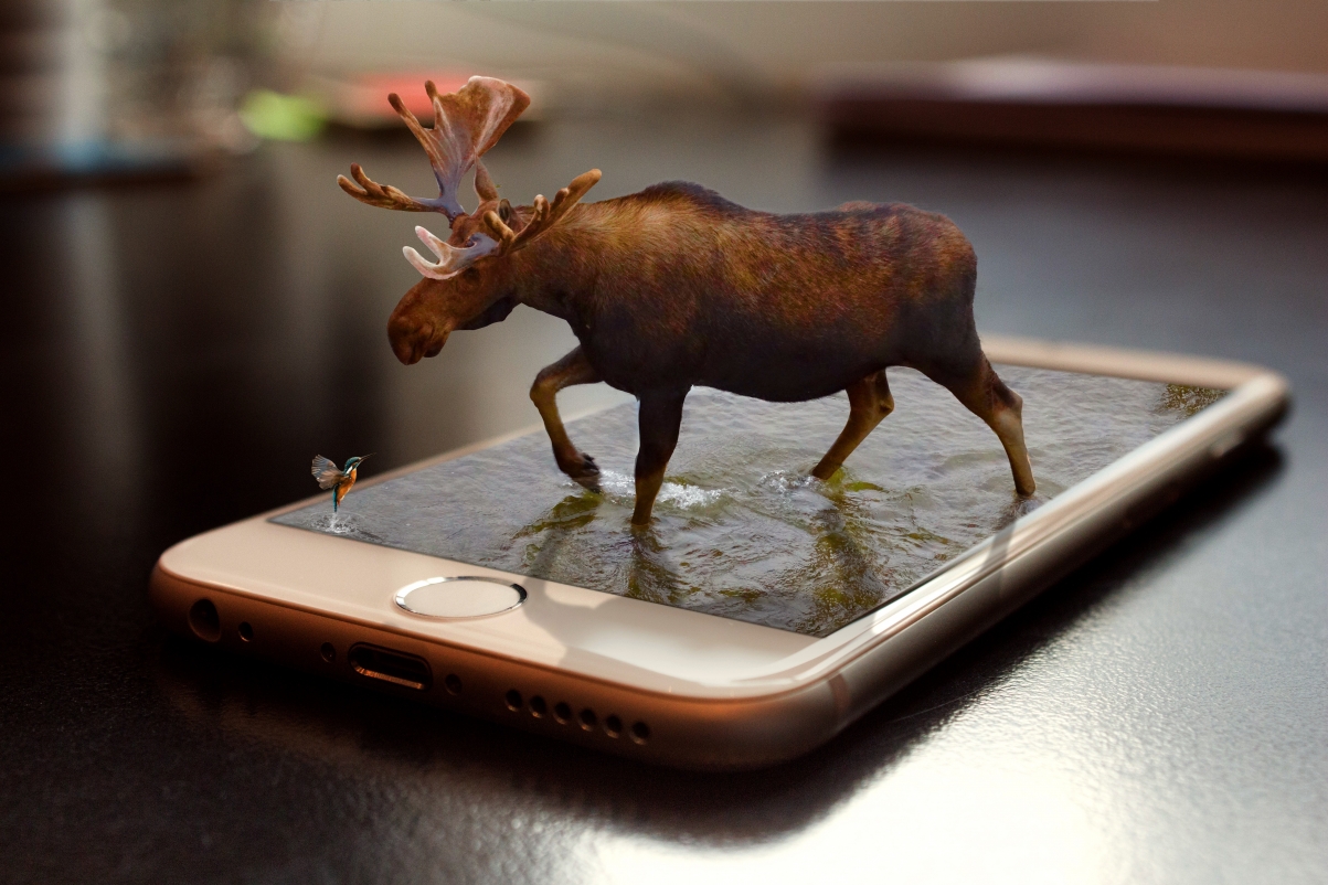 驼鹿 3d 电话 水 智能手机 创意设计 5K图片