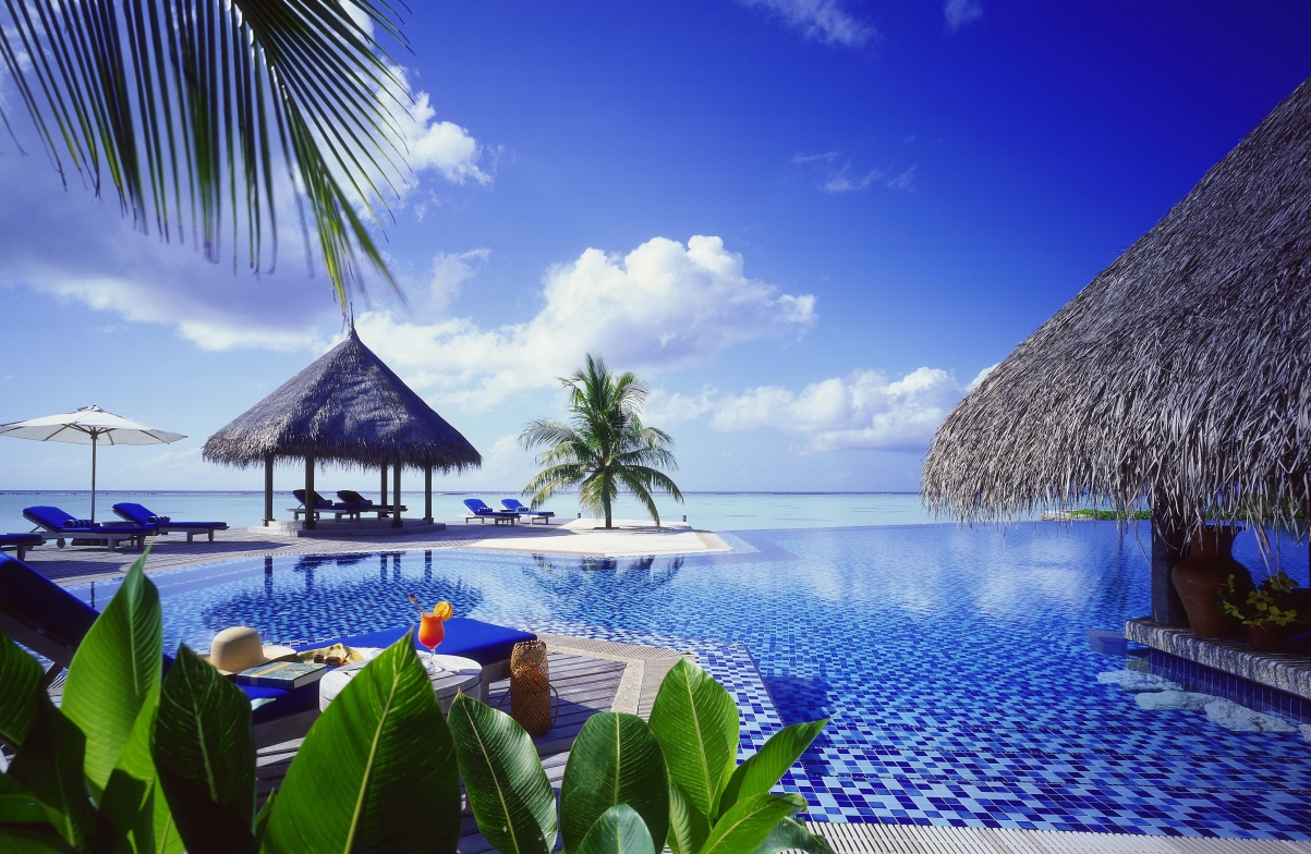 海洋 棕榈树 平房 游泳池 4K风景壁纸