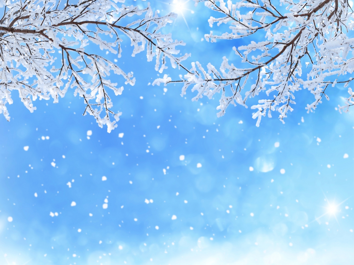 冬季 天空 雪花 树枝 蓝色背景 5k图片