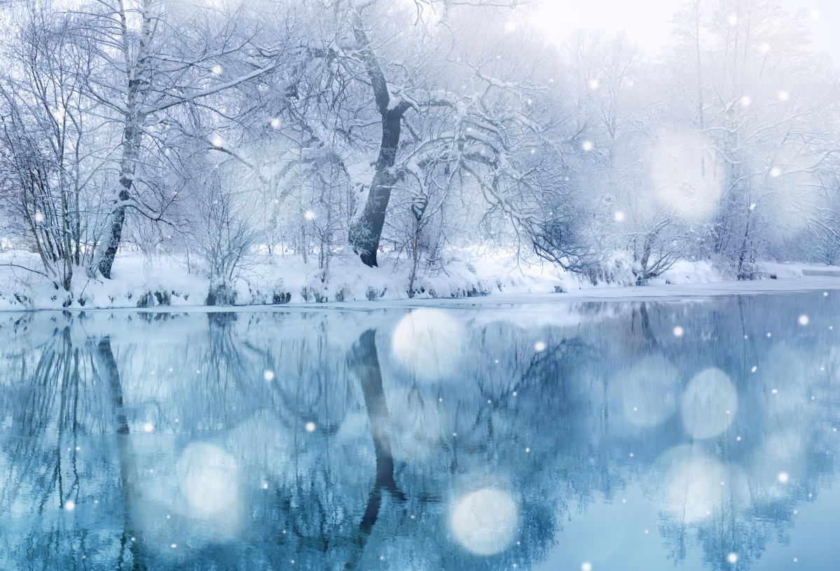 冬季 雪 树 河流 7K风景图片