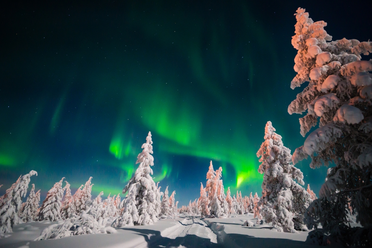 天空 晚上 道路 树木 北极光 冬季 雪 星空 4K壁纸