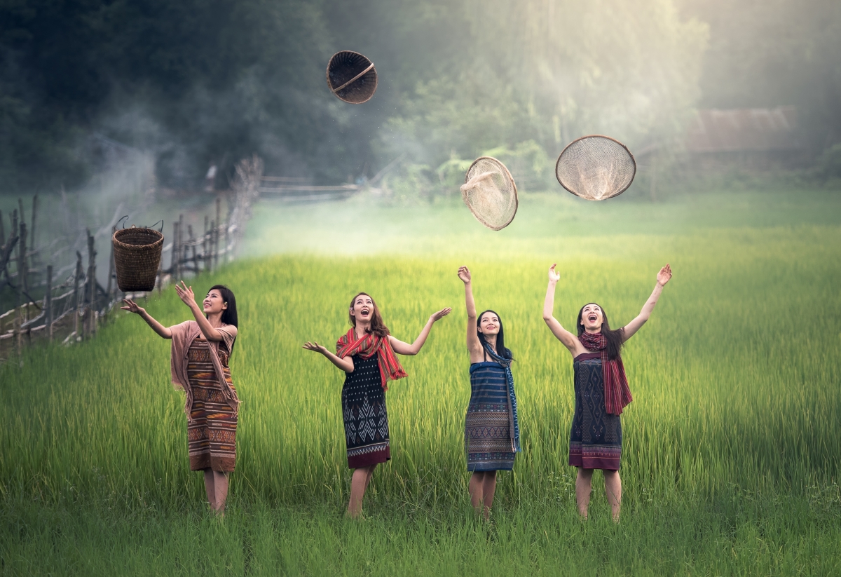 大米 稻田 绿色农村 女人们 自由 欢乐 手臂 明亮 畅快 庆祝 5K图片