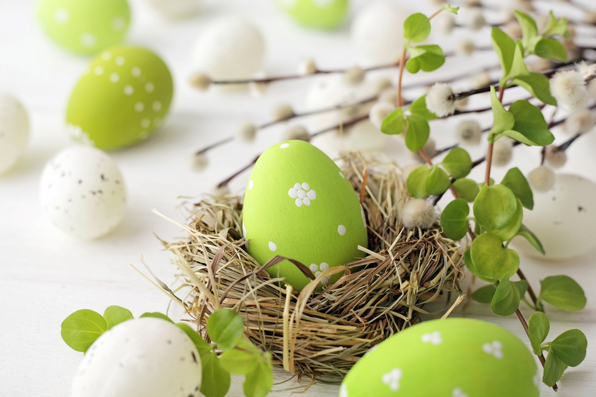 复活节快乐 绿色鸡蛋装饰 4K壁纸