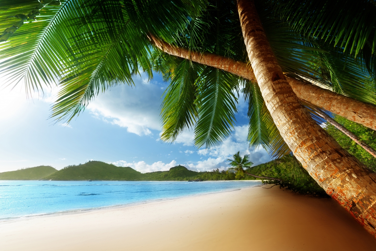 加勒比海 沙滩 天空 云 棕榈树 4K风景壁纸