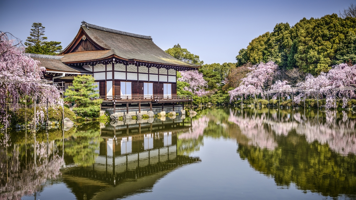 平安神宫 日本京都 花 池塘 4K风景壁纸