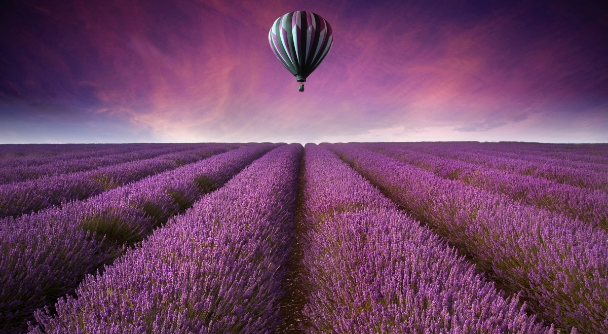 紫色花海 热气球 薰衣草庄园 4K风景壁纸