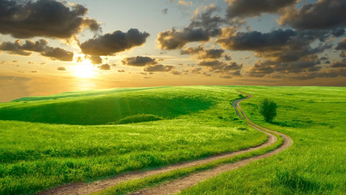 美丽的绿色草地 丘陵 道路 云海 日出 风景4k壁纸