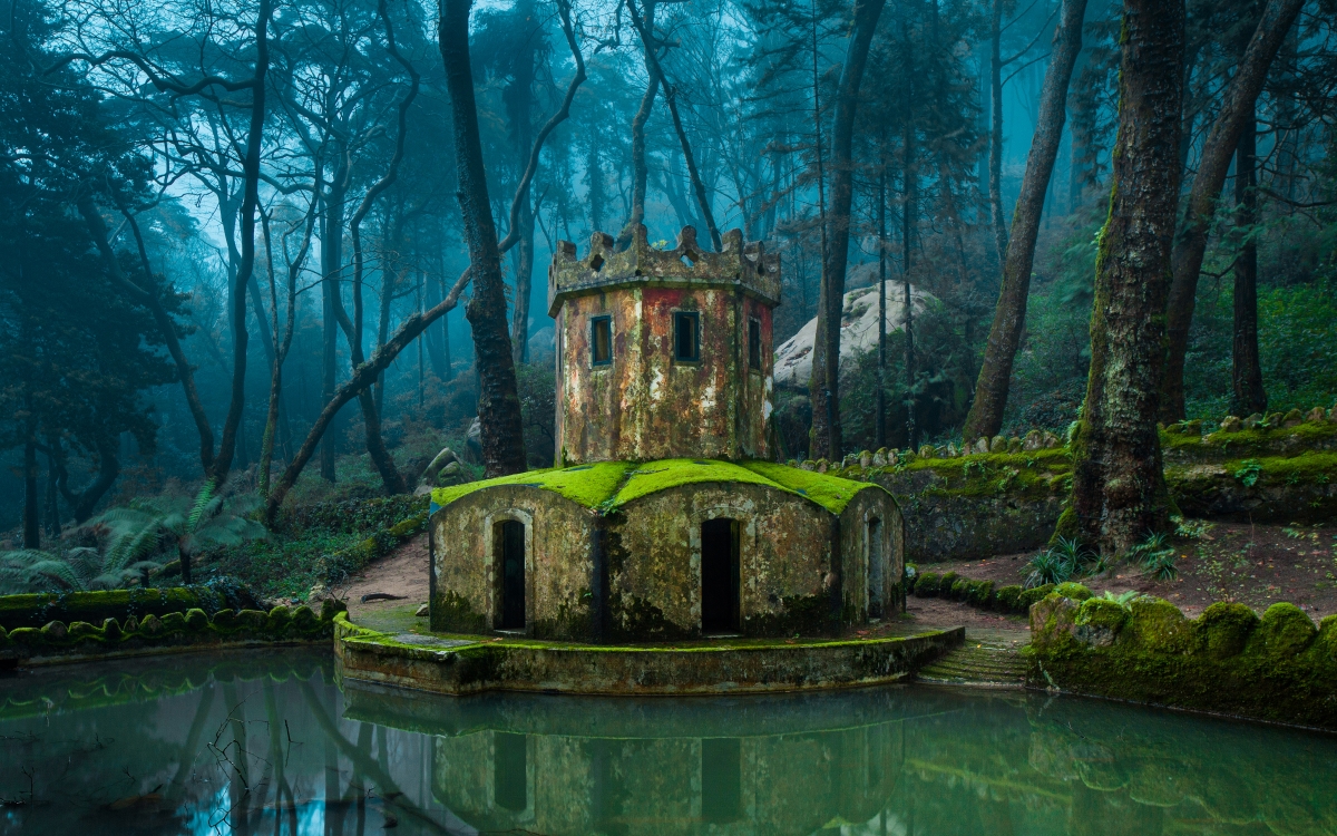 葡萄牙 树木 苔藓 城堡 池塘 4k风景图片