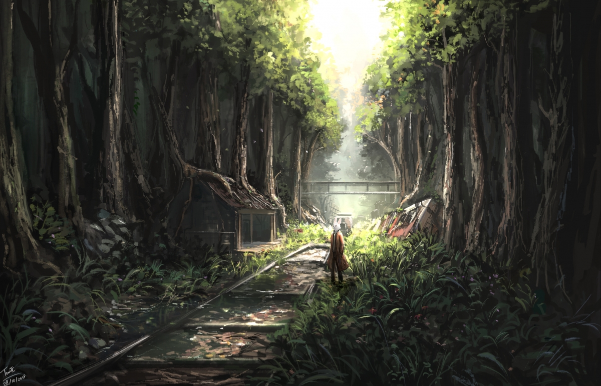 被抛弃的小火车站 平静的草 兔子 火车 无垠的森林里 by TomTC 4k高清壁纸