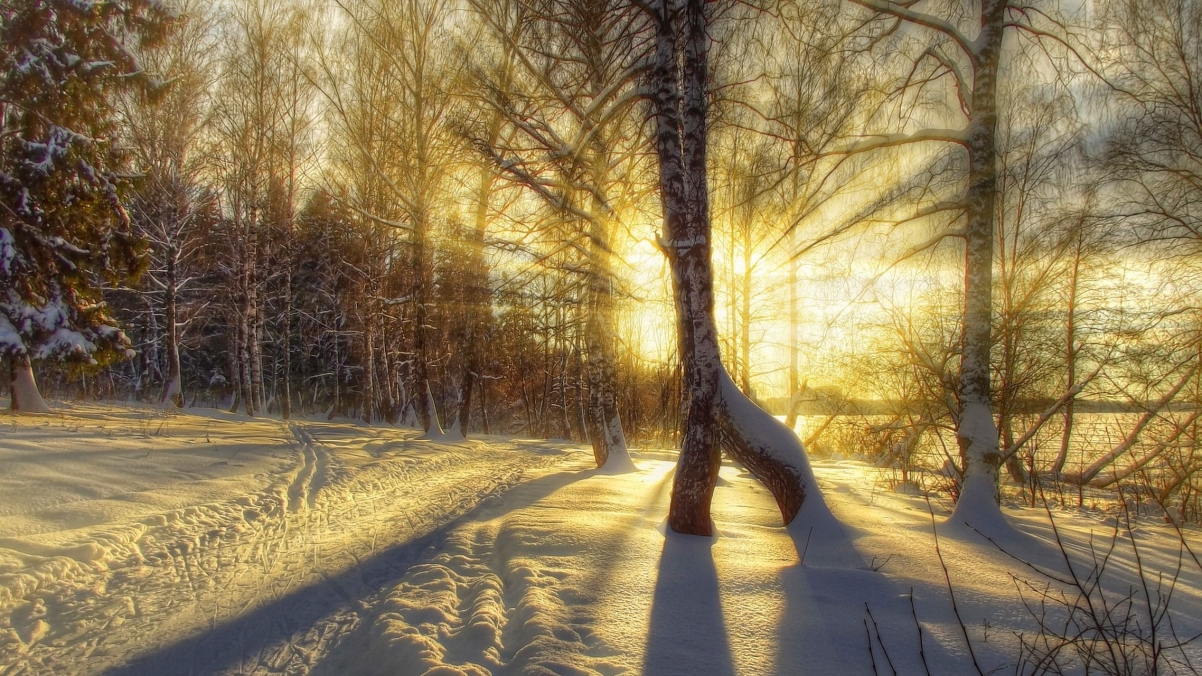自然 冬天 雪 路 阳光 光 4K风景壁纸