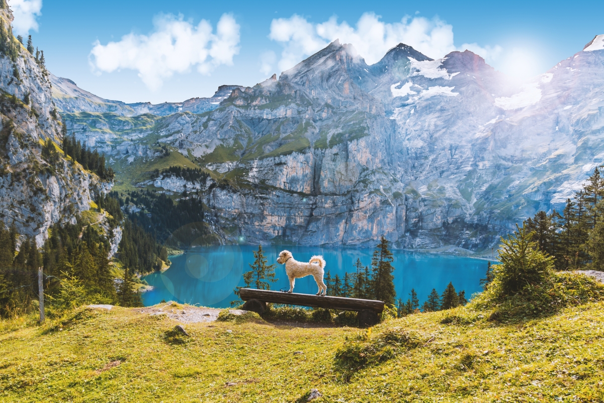 瑞士坎德施泰格 山 湖 4K风景壁纸