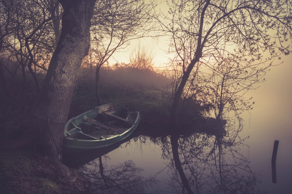 雾 湖 倒影 树 黎明 船 4k风景图片