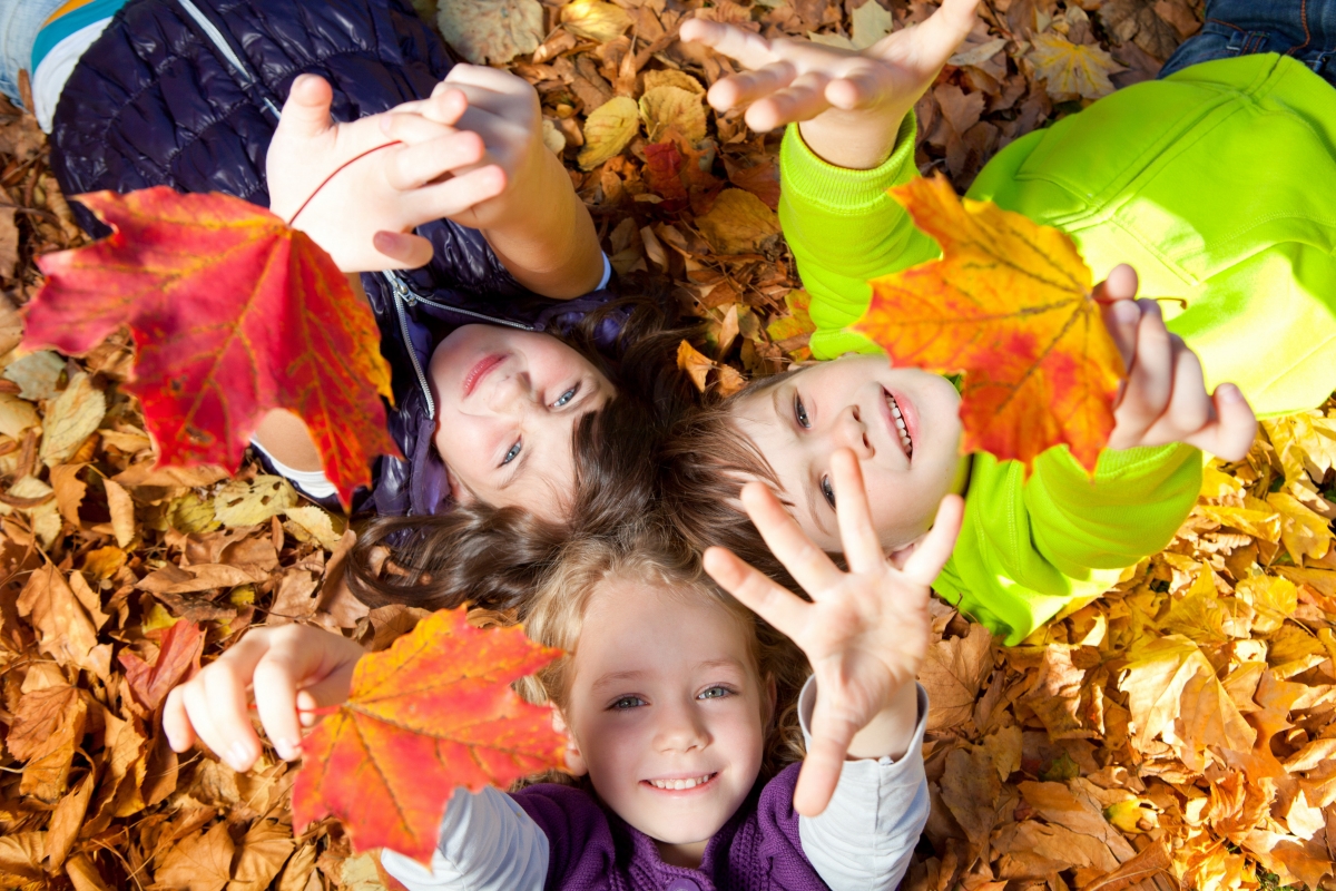 秋天 树叶 草地 可爱儿童摄影5K图片