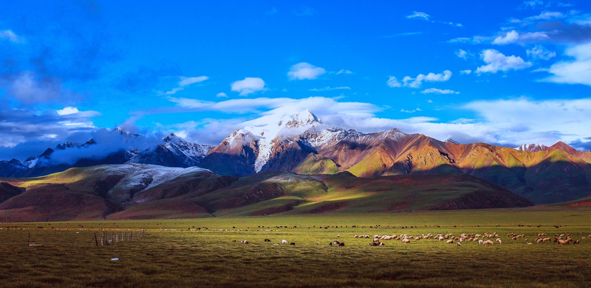 西藏羊八井风光图片