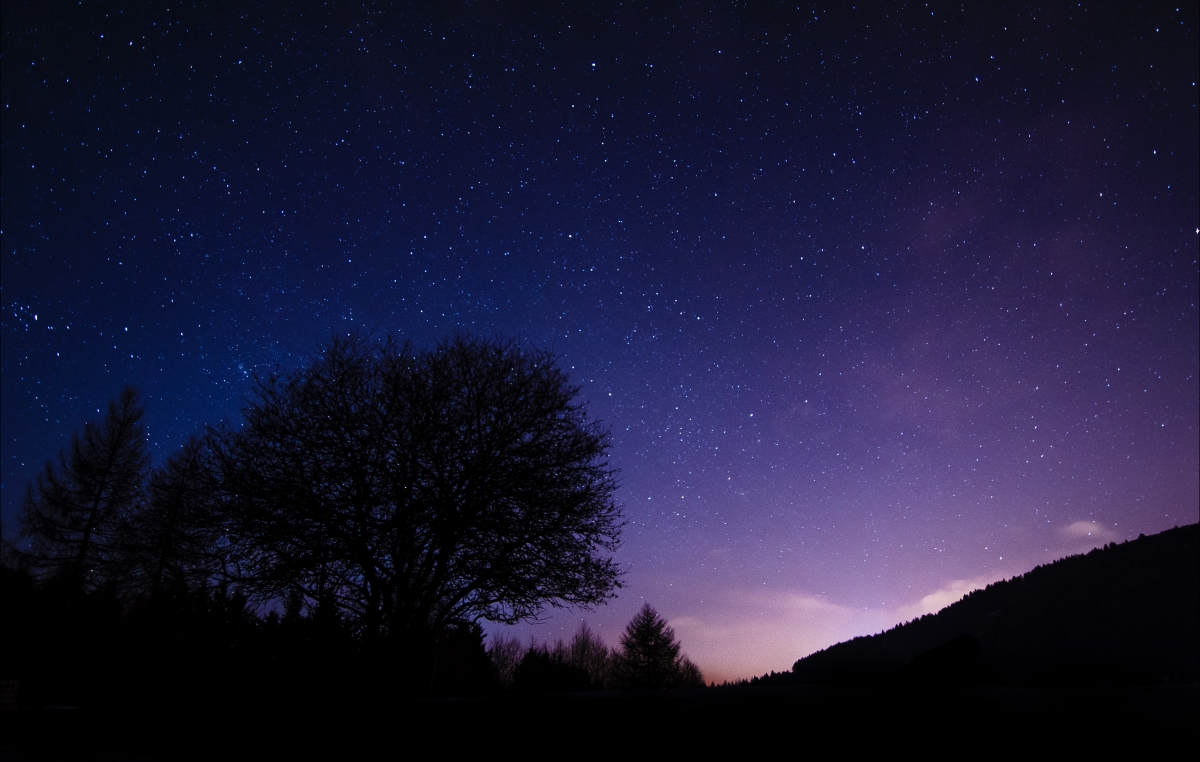 美丽的夜晚 树 星空 4K壁纸
