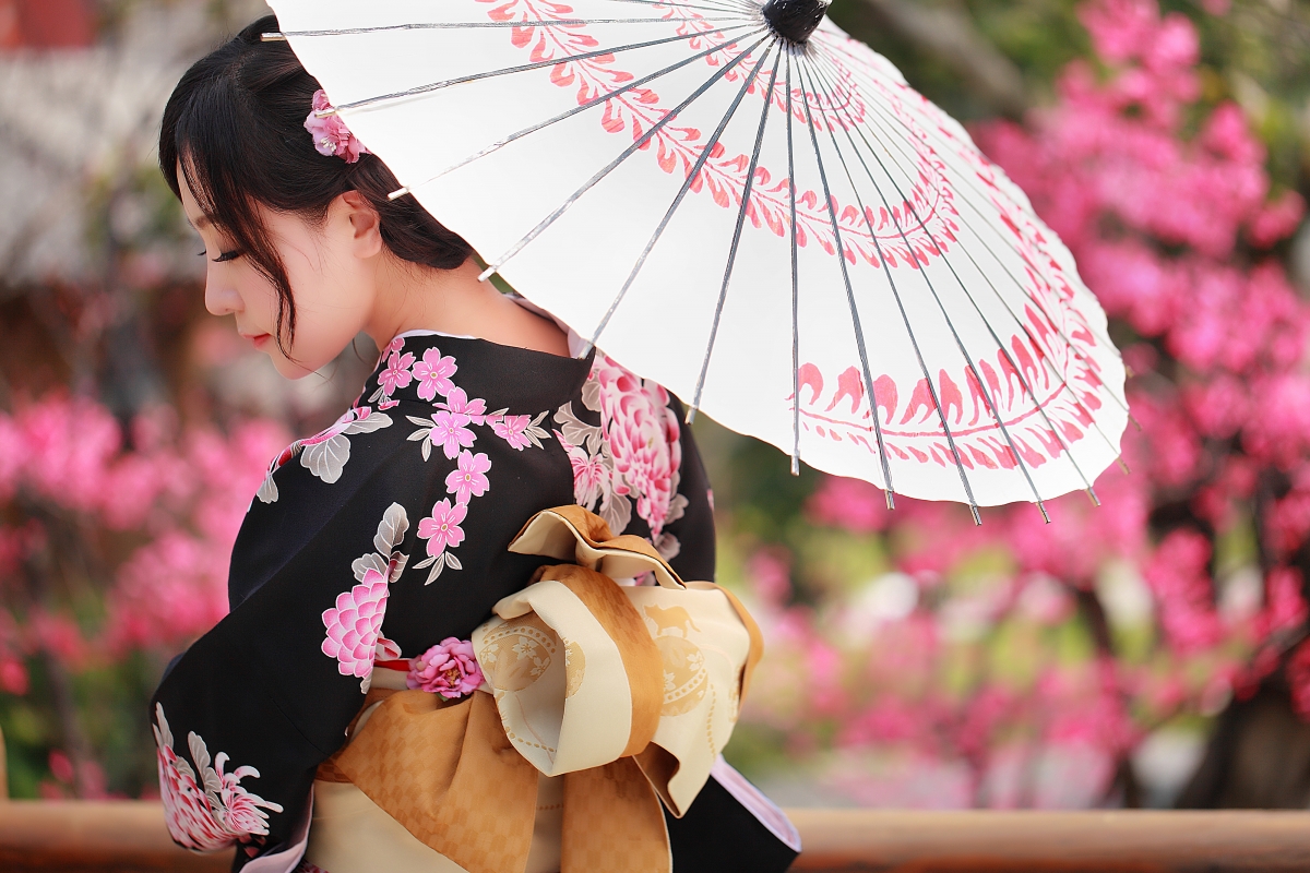 日本和服美女 伞 樱花 唯美 4K壁纸