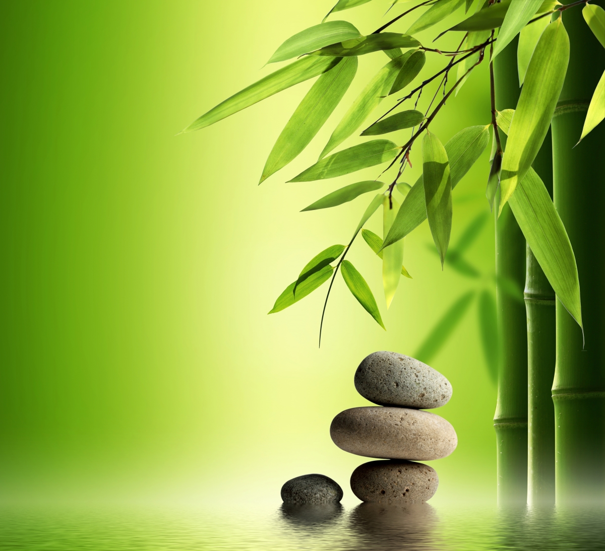 竹子,石头,水,绿色背景图片