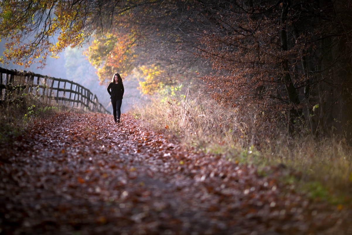 秋天树林栅栏女孩散步唯美风景图片_4k人物图片高清壁纸_墨鱼部落格