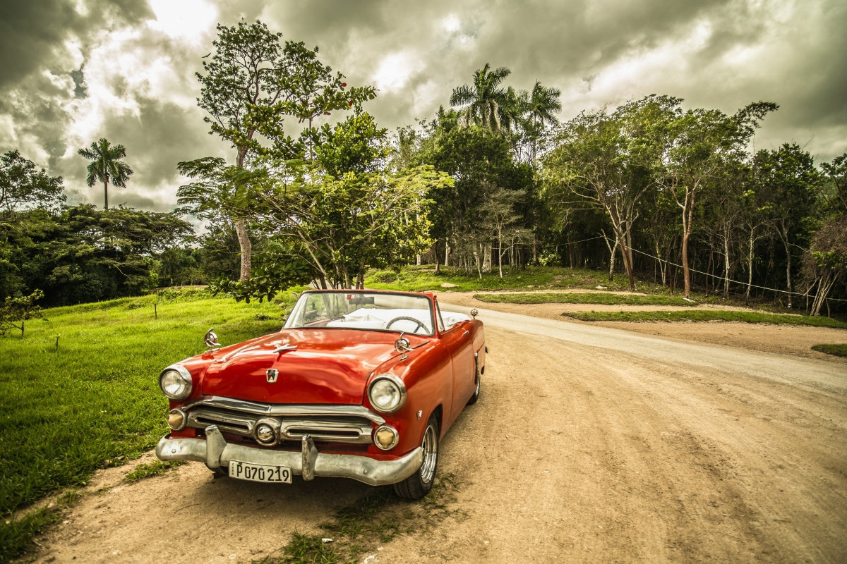 古巴 红色旧车 森林 4k图片