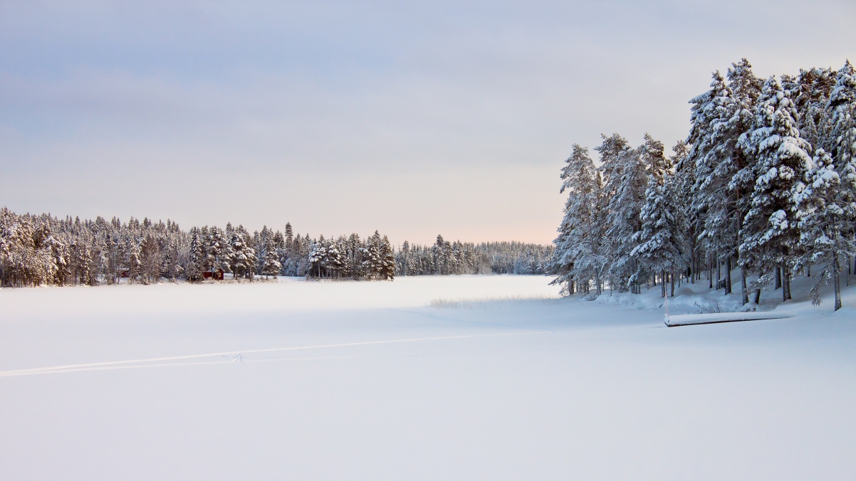 瑞典 雪景 4K风景壁纸