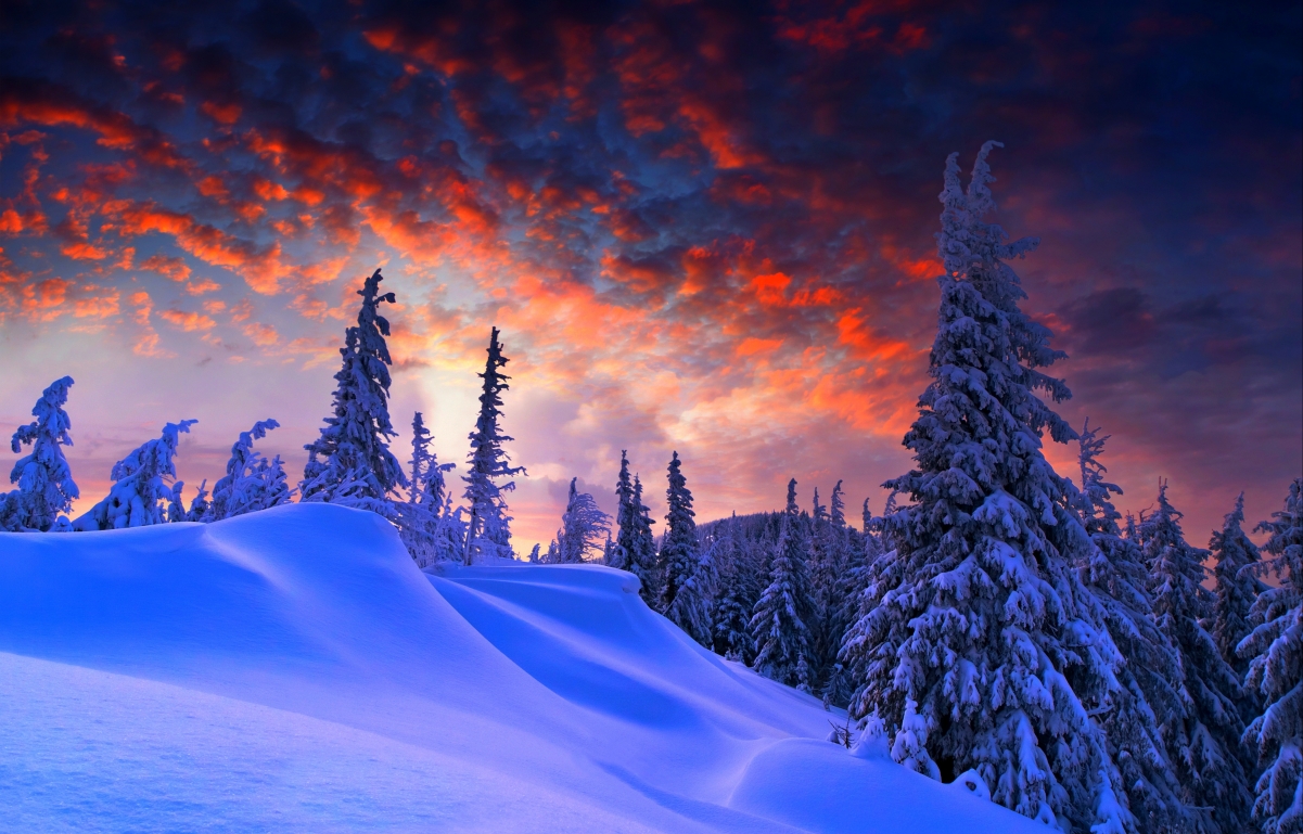 自然 冬天 山 雪 树林 天空 4K风景壁纸