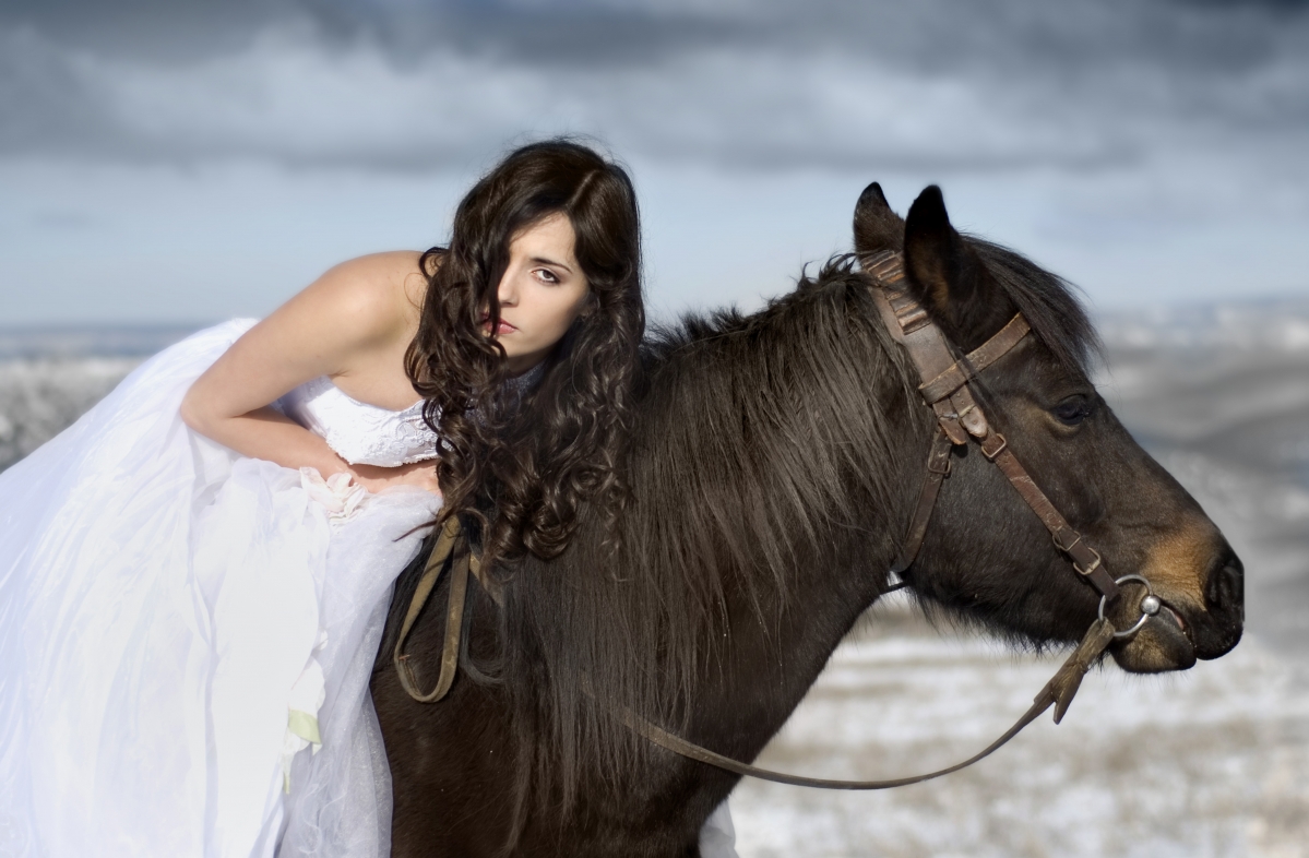 一匹马在雪中的新娘5K壁纸