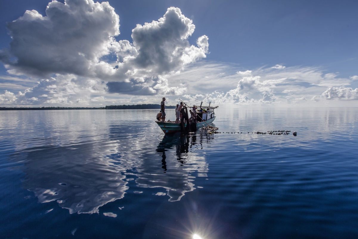 渔船 捕鱼 印尼 哈马黑拉岛 4K图片