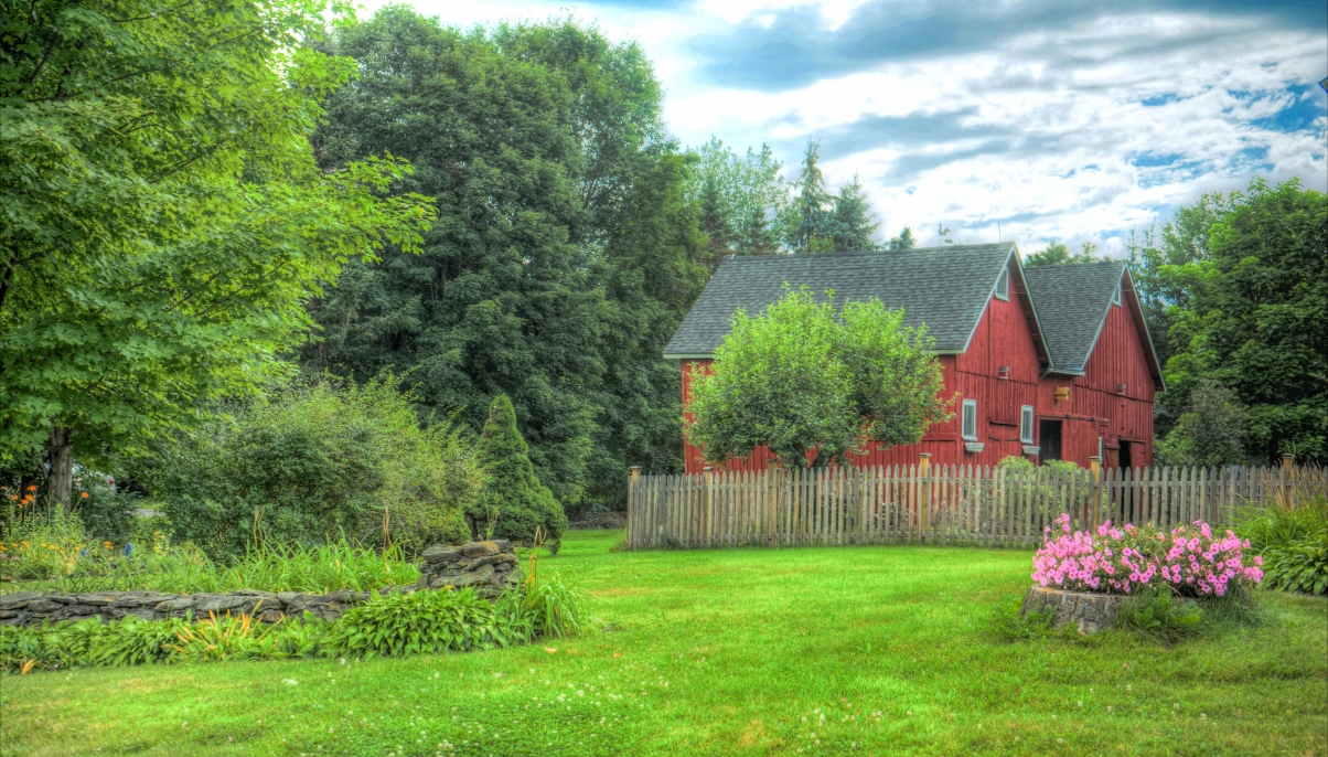 佛蒙特州 花 天空 云 乡村 木房子 6K风景图片