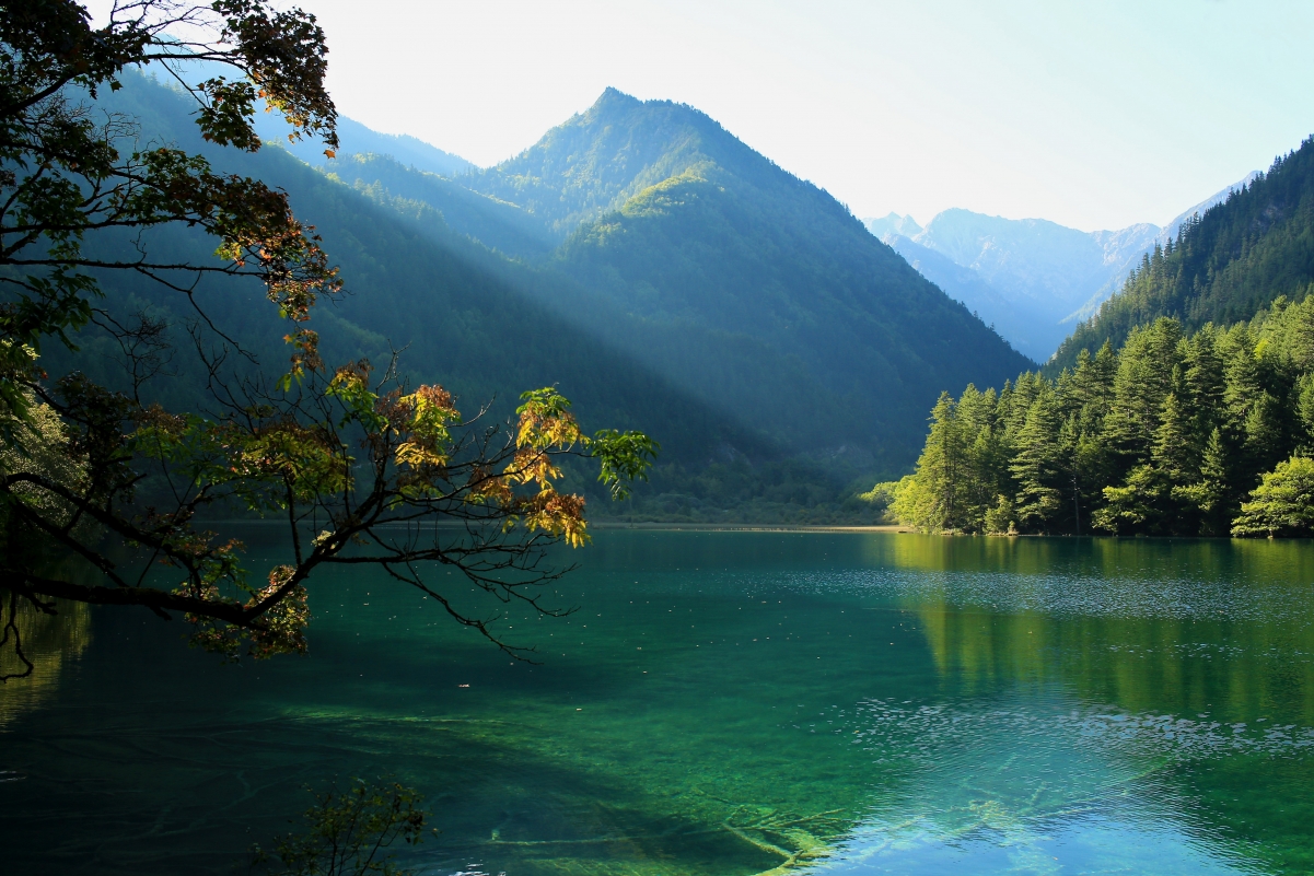 九寨沟自然风景湖水树林高清图片