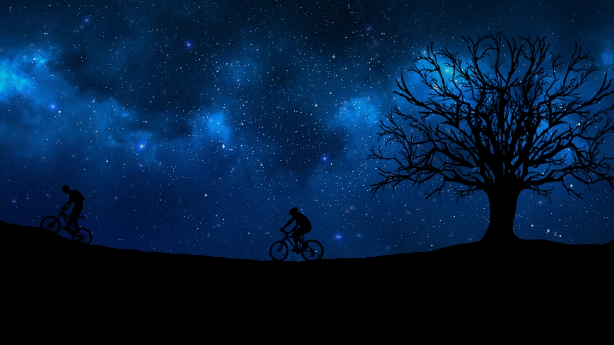 骑自行车 夜 树 星空 4K壁纸