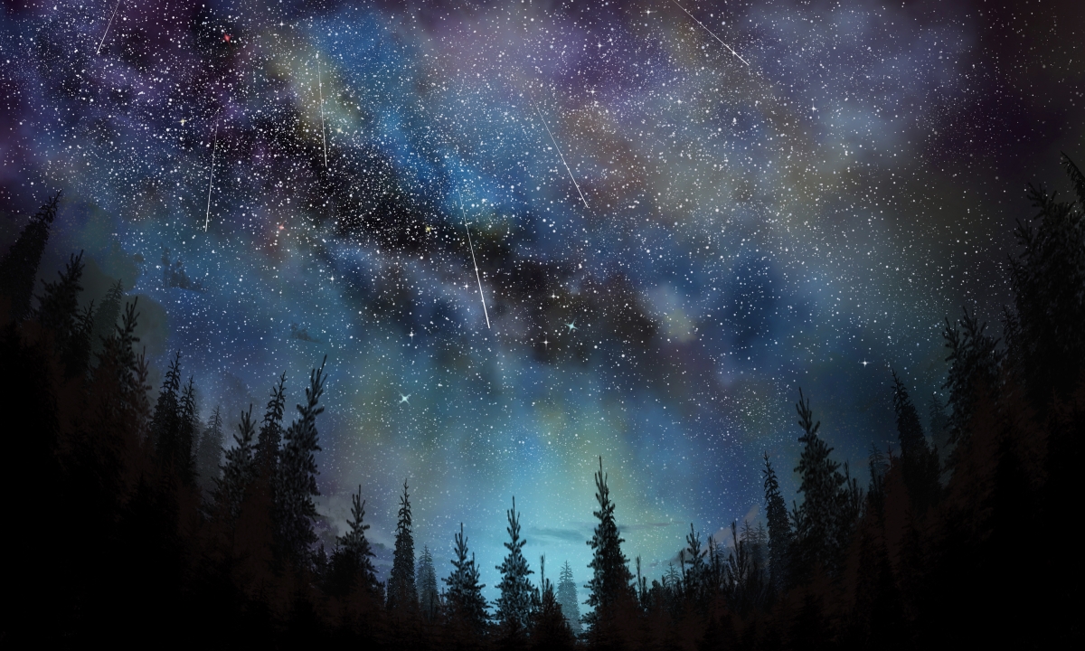 星空星夜流星树林星空4k壁纸