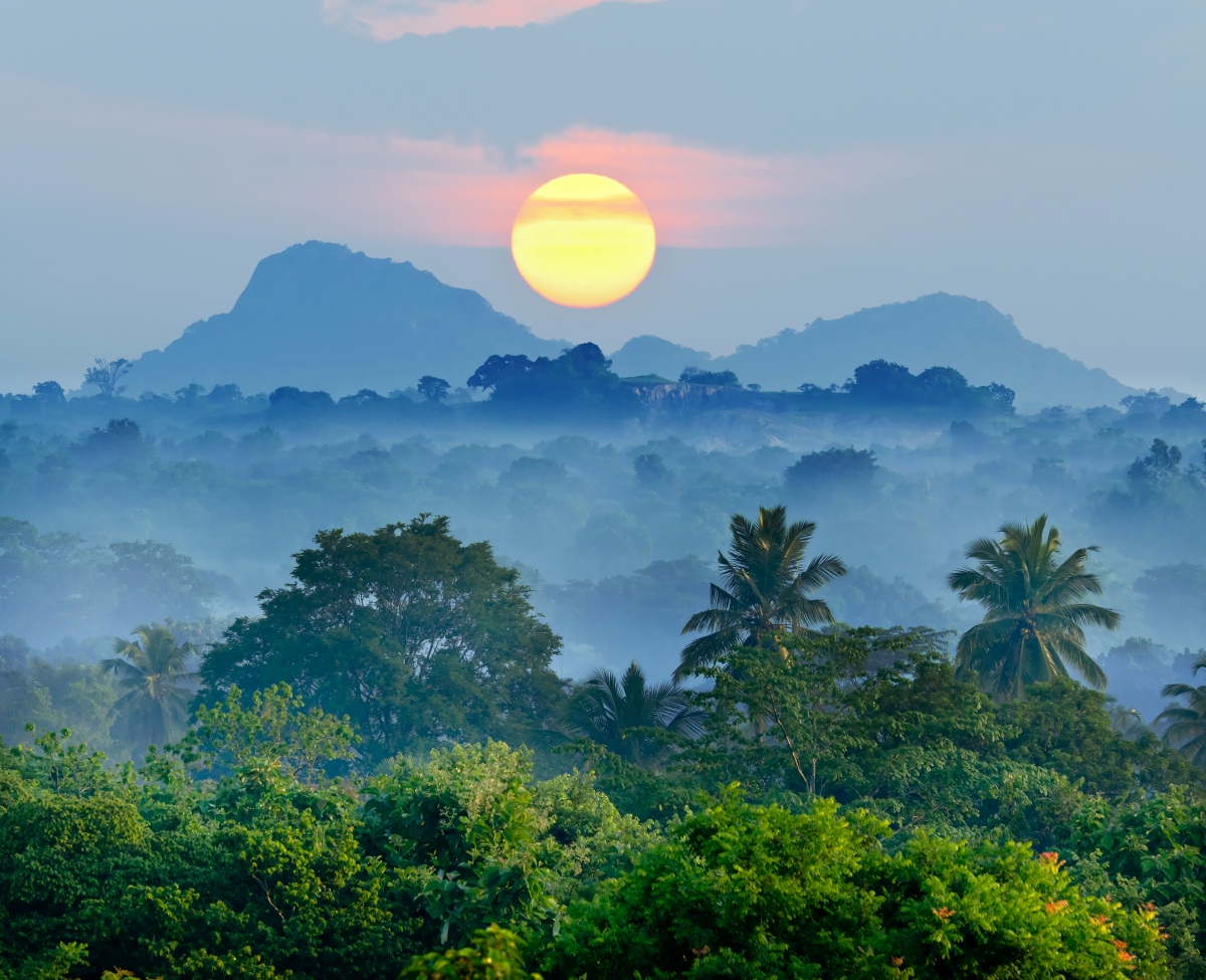 热带 森林 山 雾 美丽的日出 4K风景壁纸