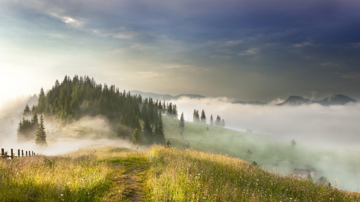 雾 太阳 山 森林 4K风景壁纸