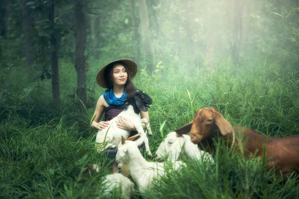 森林 树林 抱着羊羔的女人 5K美女图片