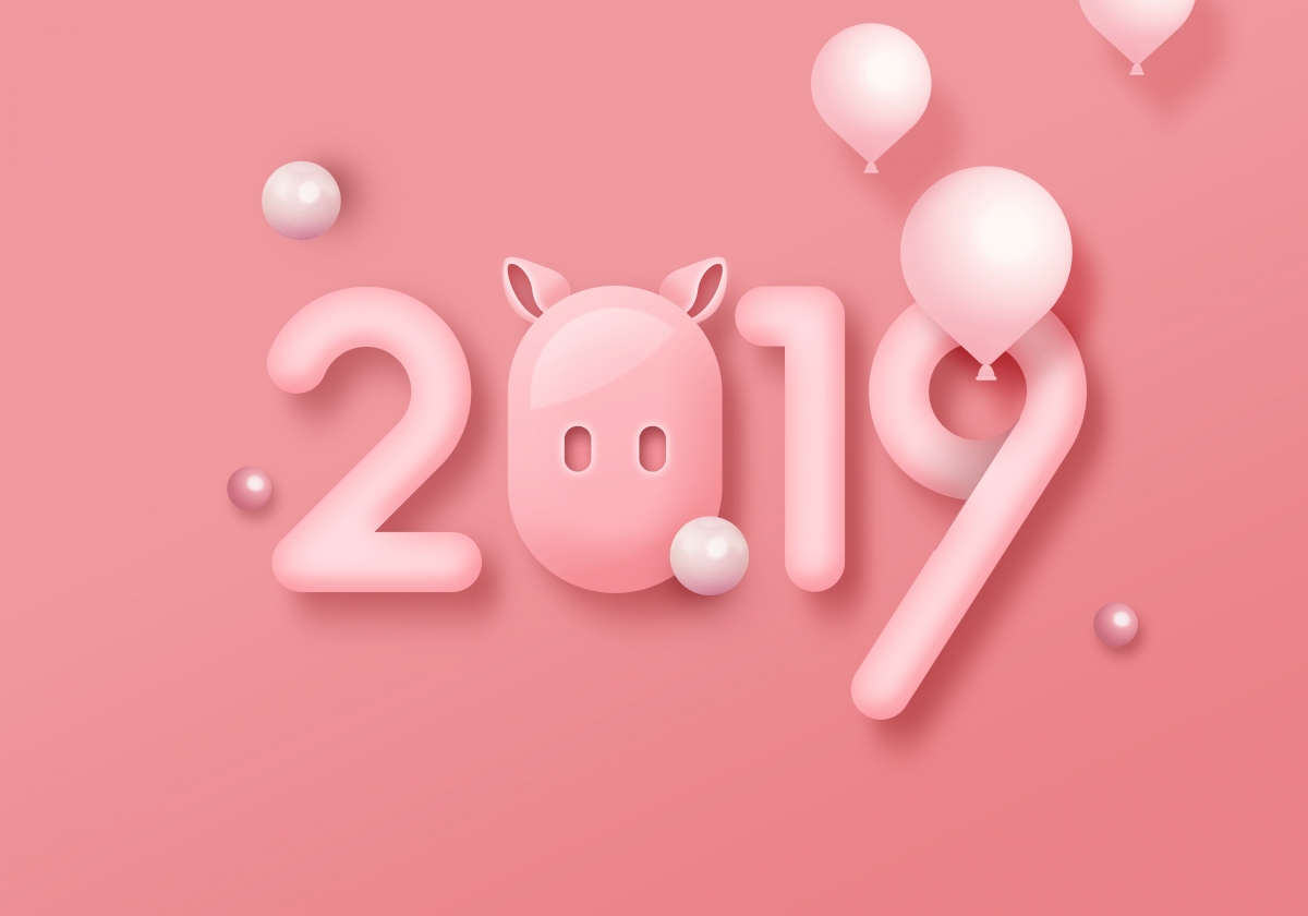 2019猪年数字海报粉色背景4k图片
