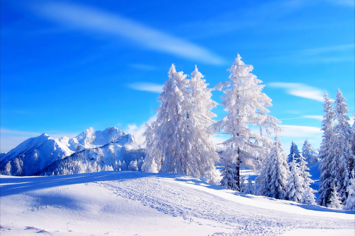 冬季,雪,自然,山,树林,风景图片