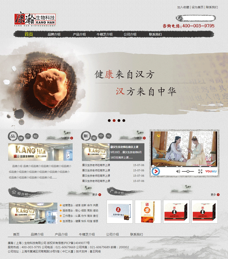 中国水墨风格的健康医药介绍网站模板
