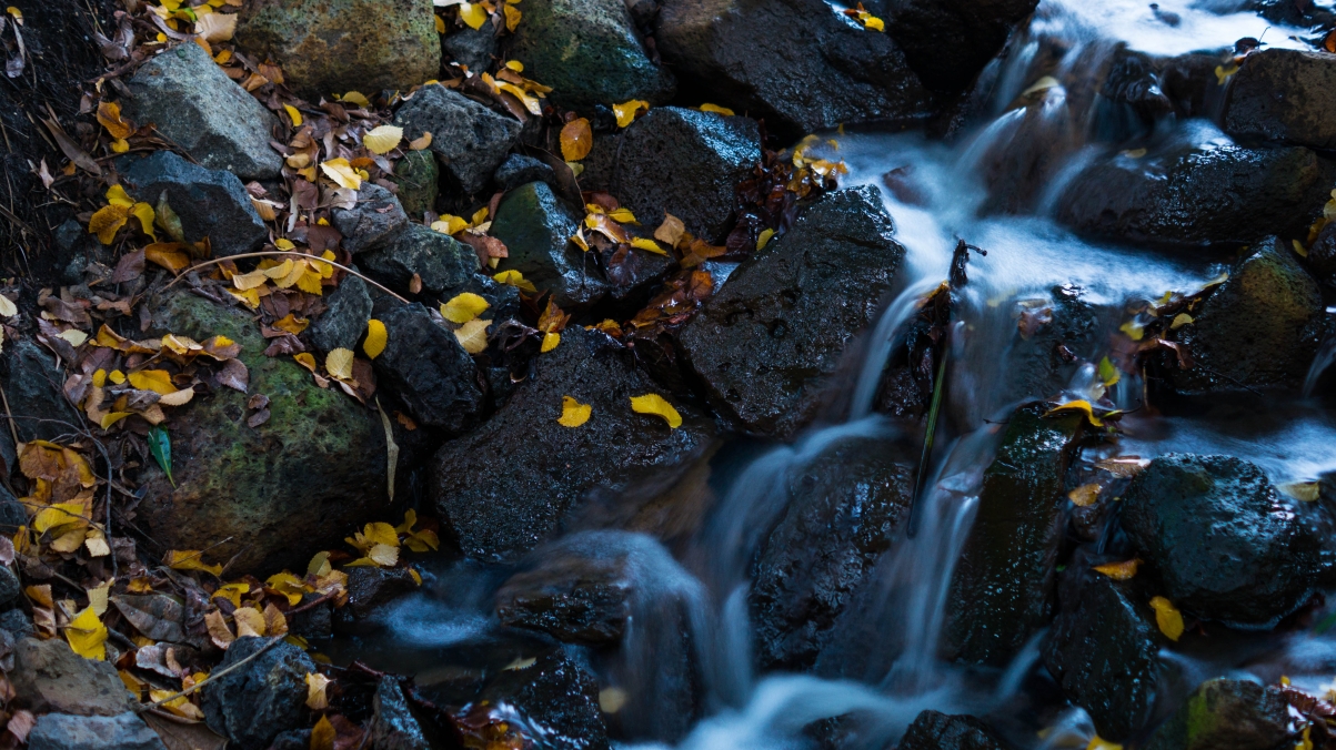 瀑布 叶子 水 自然 天然水 石头 溪流 4K风景壁纸