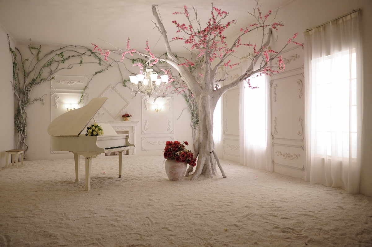 室内设计背景图 钢琴 树 4k图片素材