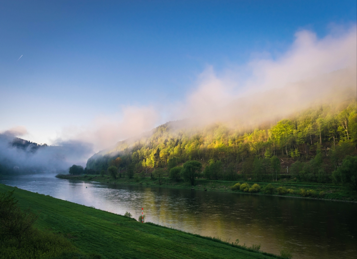 雾 河 易北河 太阳 景观 水 上午 浪漫 冷 天空 春天 日出 5K风景壁纸