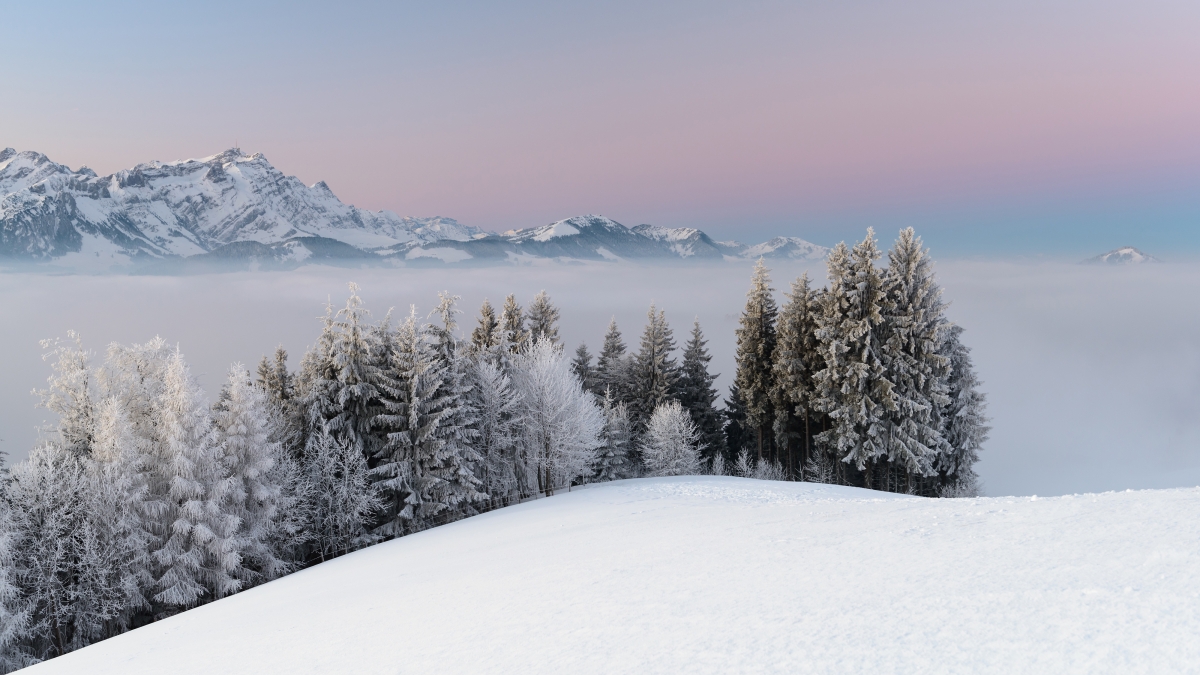 冬天雪山,雾,树木自然风景图片