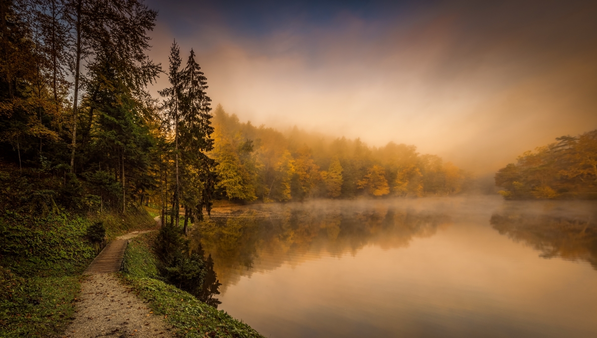 雾,秋天,河流,风景4K壁纸