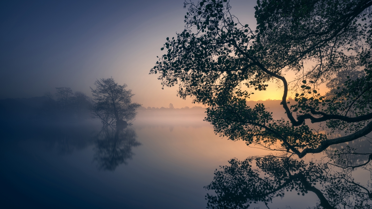 早晨,湖泊,树木,雾,4k风景壁纸