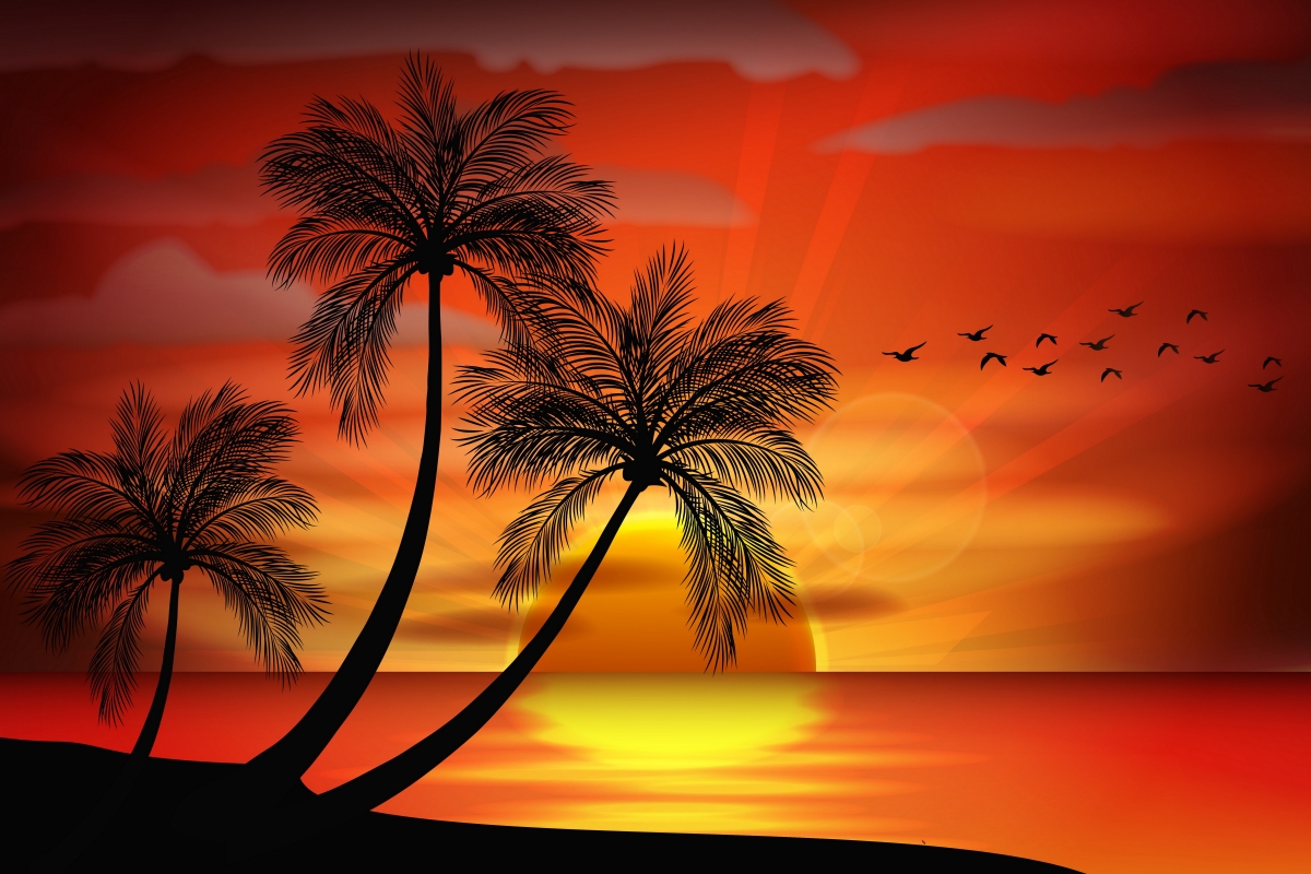 日落 海 天堂 椰树 矢量风景6K图片