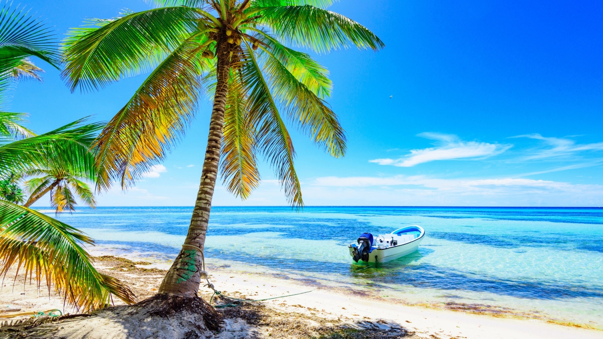 阳光 热带 夏天 大海 沙滩 棕榈树 岛屿 船 海边风景4K壁纸3840x2160