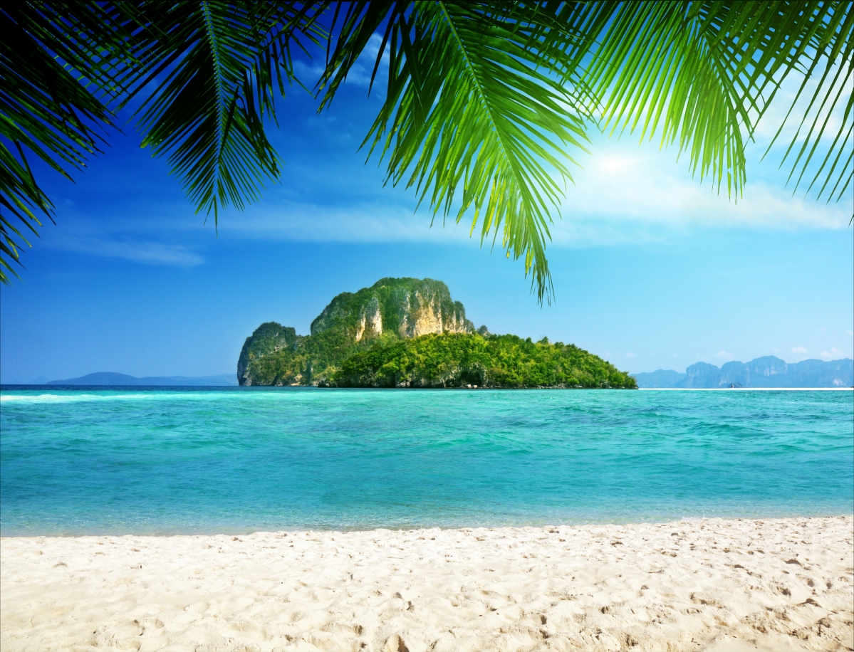 岛屿 棕榈树 热带 海洋 海岸 5K风景壁纸